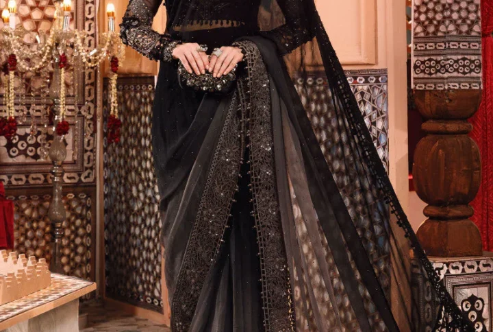 "Embroidered Organza Blouse with Shaded Chiffon Saree"