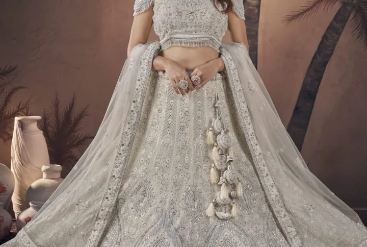 Embroidered Net Lehenga with zarkan and thread embroidery.
