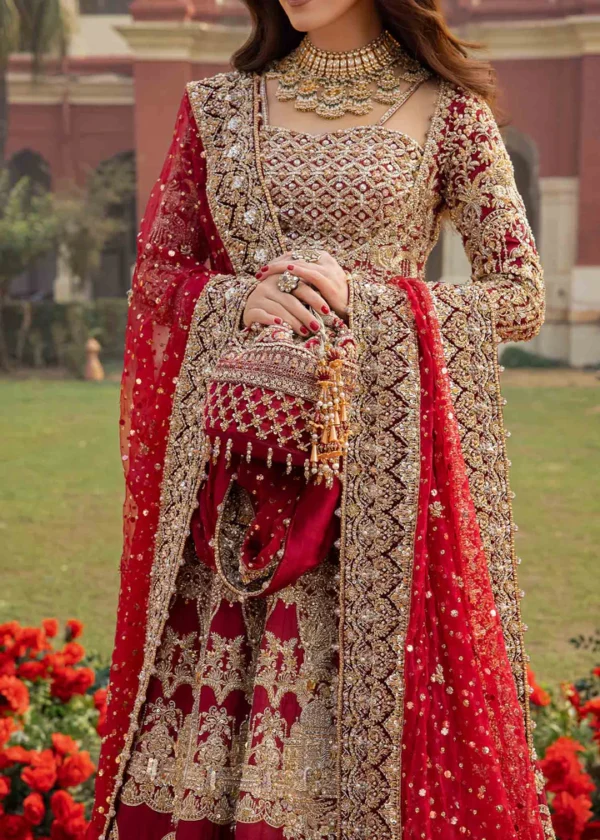 Ruby Red Bridal Dress Fully Embellished