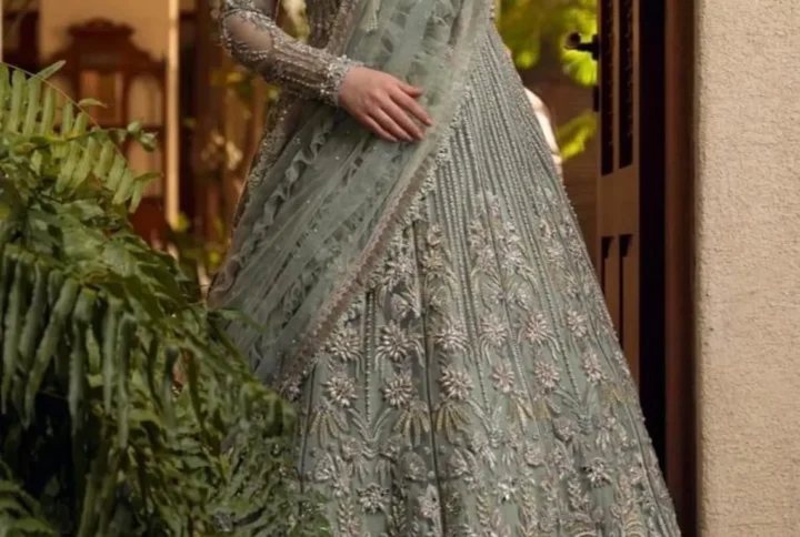 Embroidered Net Dress with handmade intricate details.