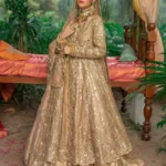 14 Elegant Hand‑Embellished Pakistani Bridal Maxis