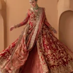 Blazing Beauty: Unique Red Bridal dresses for 2025